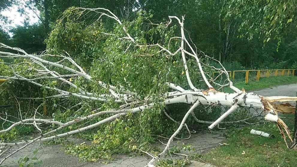Budúci bývalí manželia zostali priateľmi. 