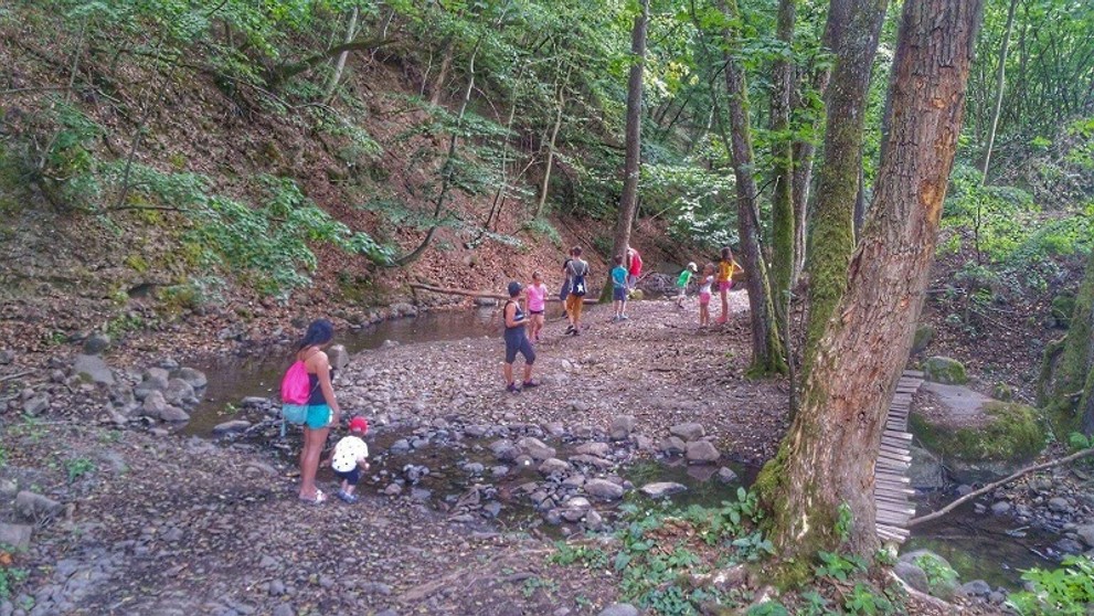 Romanov návrat na Farmu