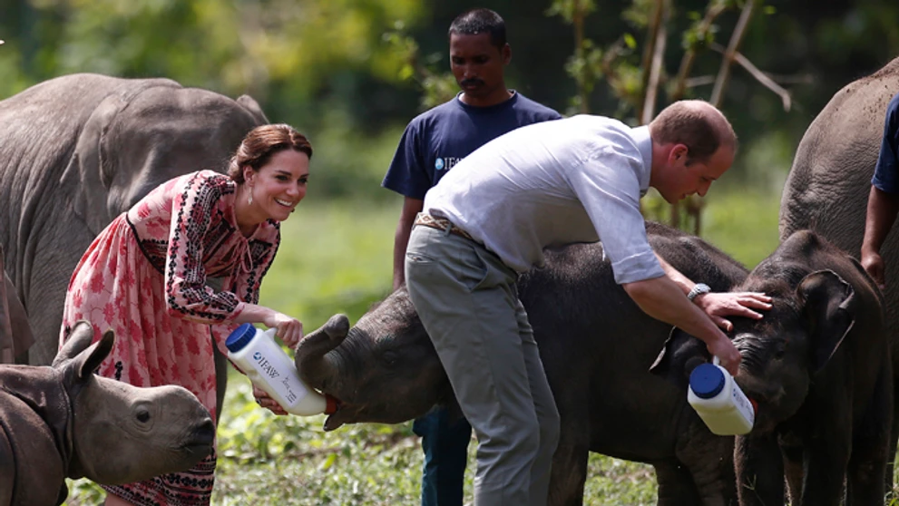Kate a William kŕmia nosorožce a slony v národnom parku Kaziranga.