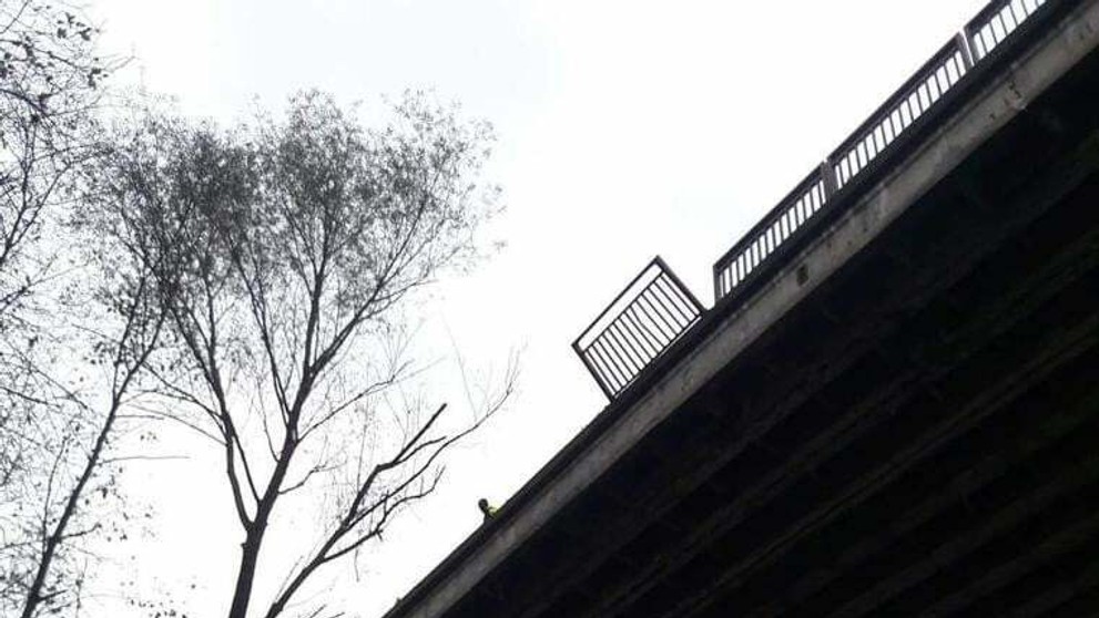 matovic 11 po vlade_tvnoviny.mp4