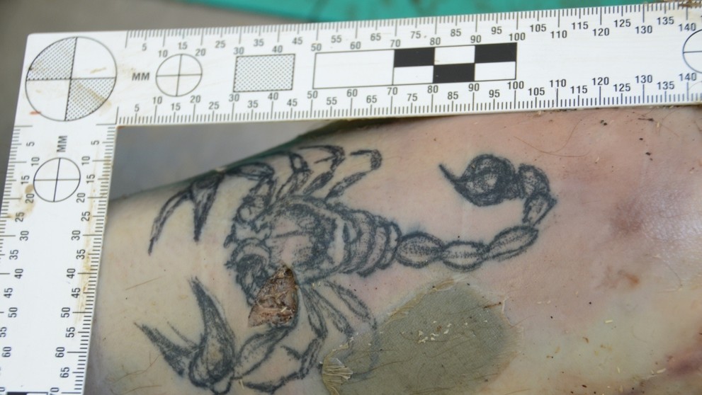 Tetovanie - škorpión