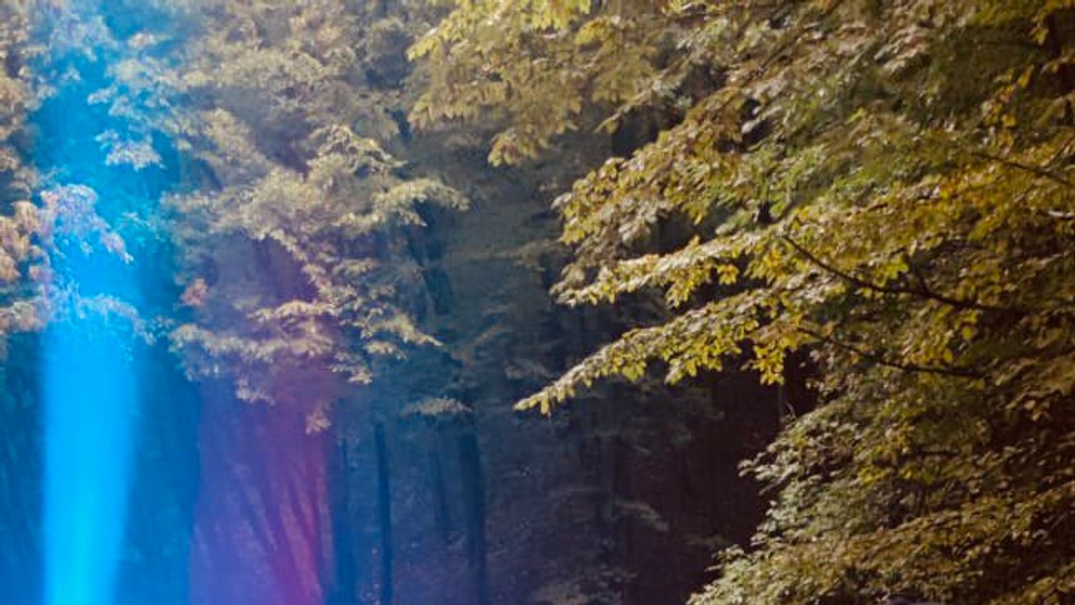 Zadržaniu predchádzala naháňačka