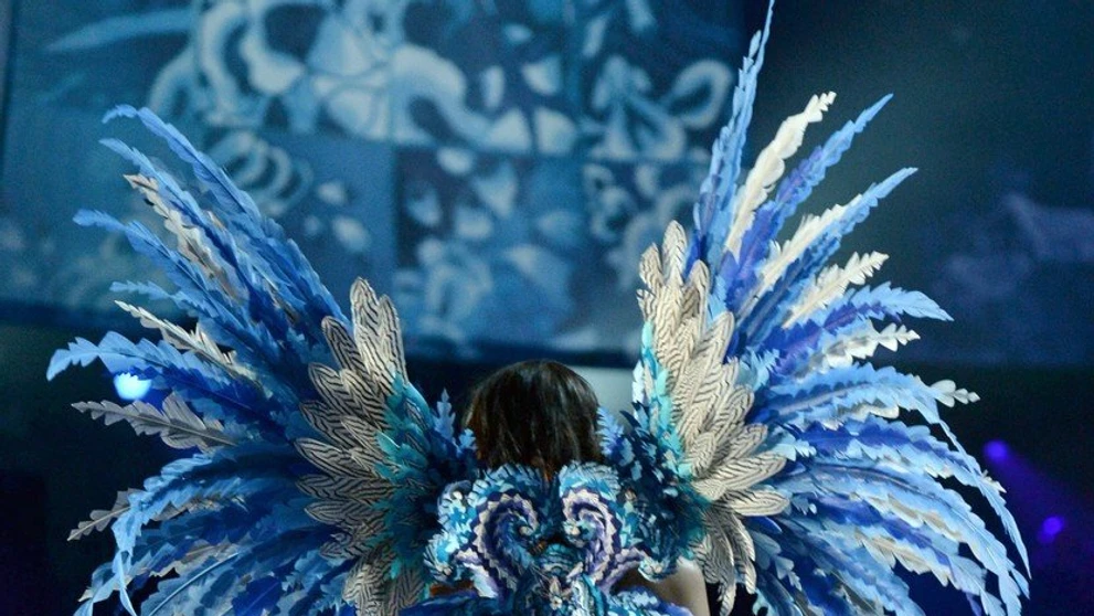 Victoria's Secret Fashion Show