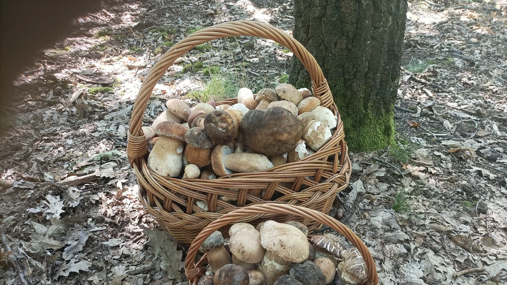 Aj zlatomoravecké hory majú čo ponúknuť. Odfotil Ľuboš Novosád.