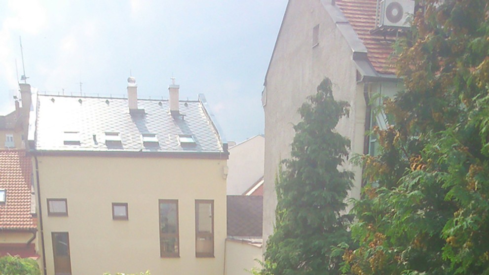 labut03.jpg