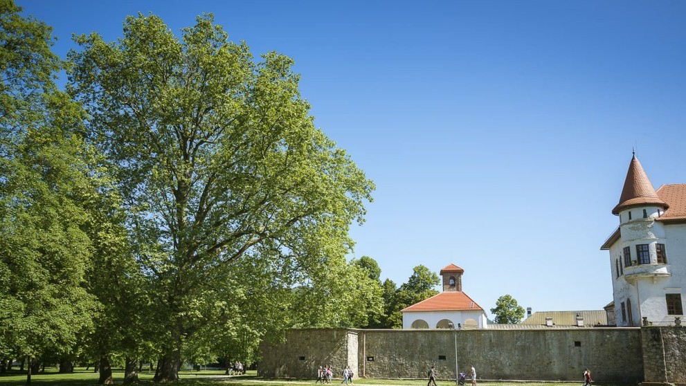 Postav hrad a zasaď strom