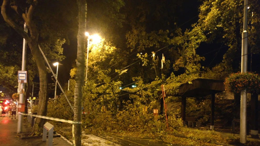 Popadané stromy pred bratislavskou Hlavnou stanicou.