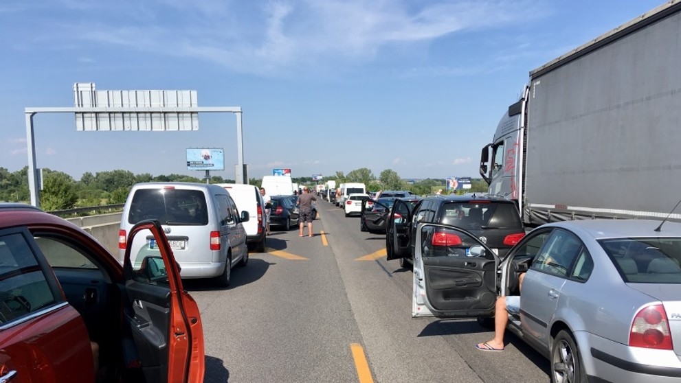 Tvoria sa rozsiahle kolóny.