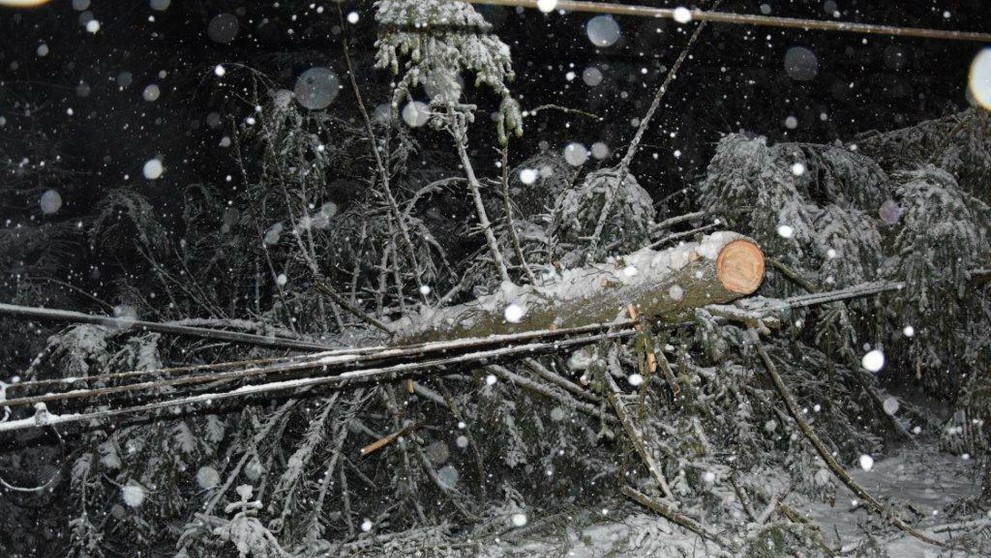 Spadnutý strom na trati Východná-Kráľova Lehota.