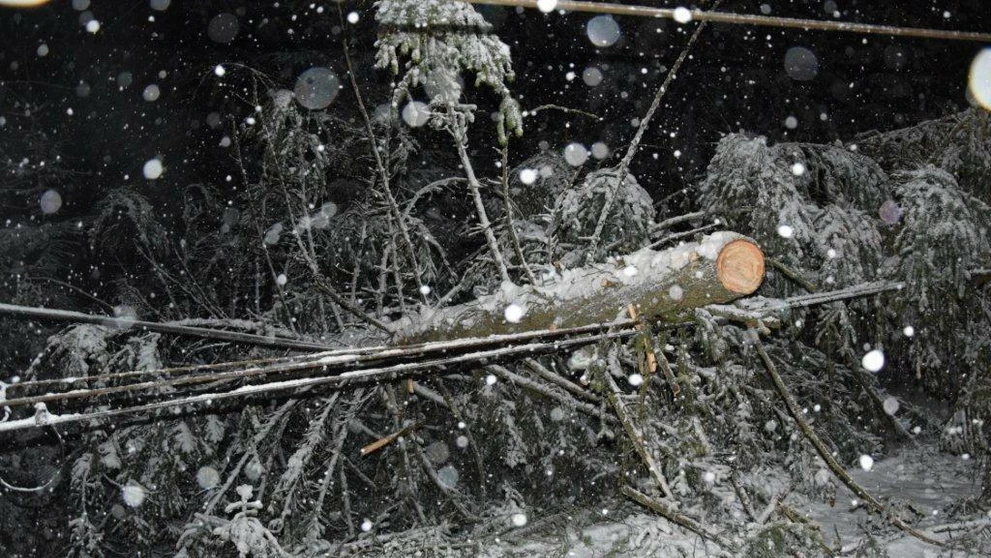 Spadnutý strom na trati Východná-Kráľova Lehota.