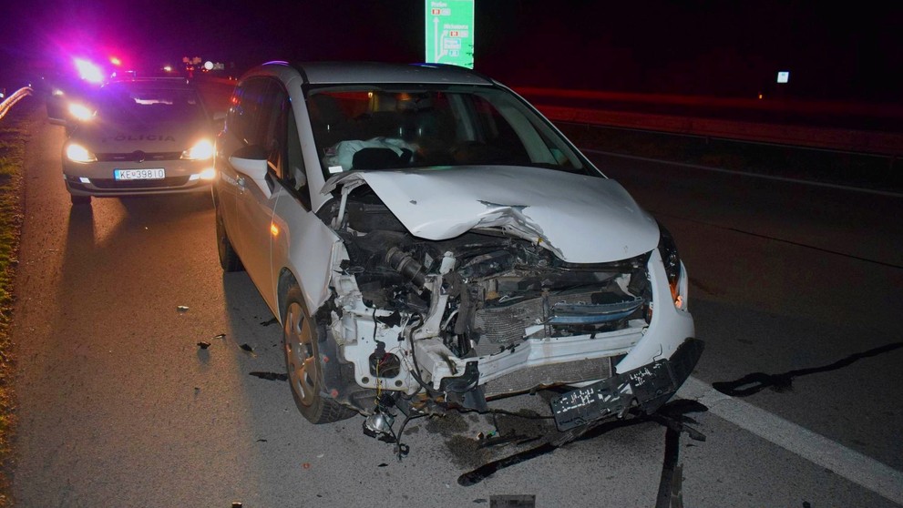 Pri Košiciach zrazilo auto medveďa.