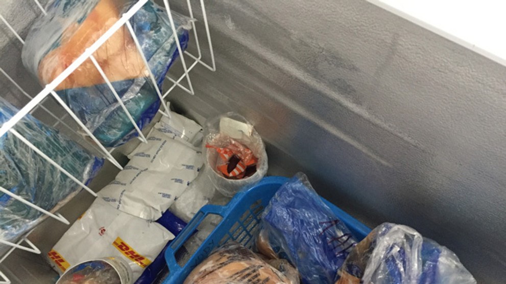 Mrazené výrobky mäsa, ktoré doviezli z Brazílie.