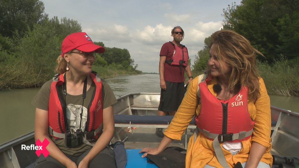 V minulosti lákal dobrodruhov zlatom!