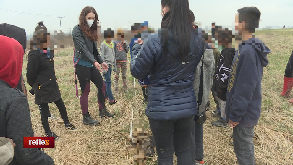 Ďalšie pohrebisko psov, rómska splnomocnenkyňa mlčí