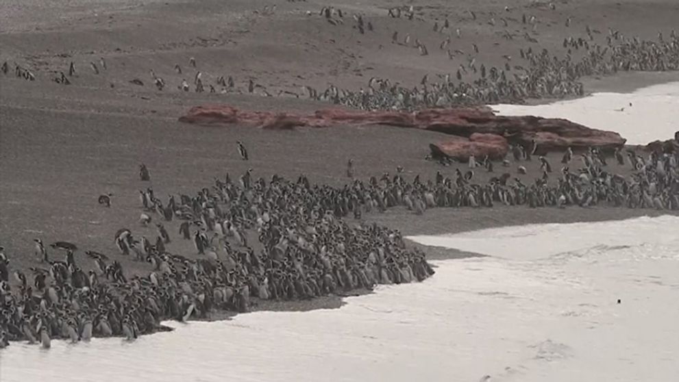 Na tieto zábery čakali vedci celý rok