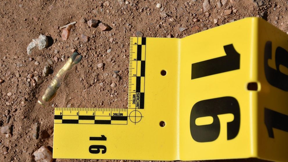 Herec nechtiac zabil kolegyňu: Spor má veľký posun