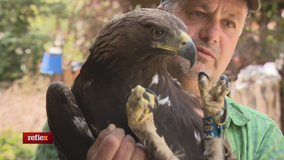 So zvieratami vyrastal, dnes ich lieči