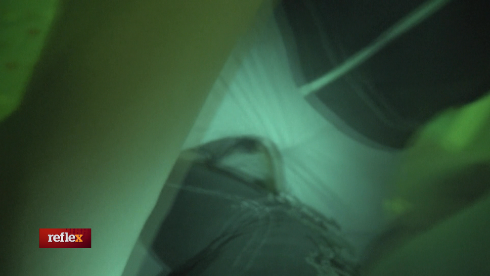 Znásilnenie väčšina nenahlási