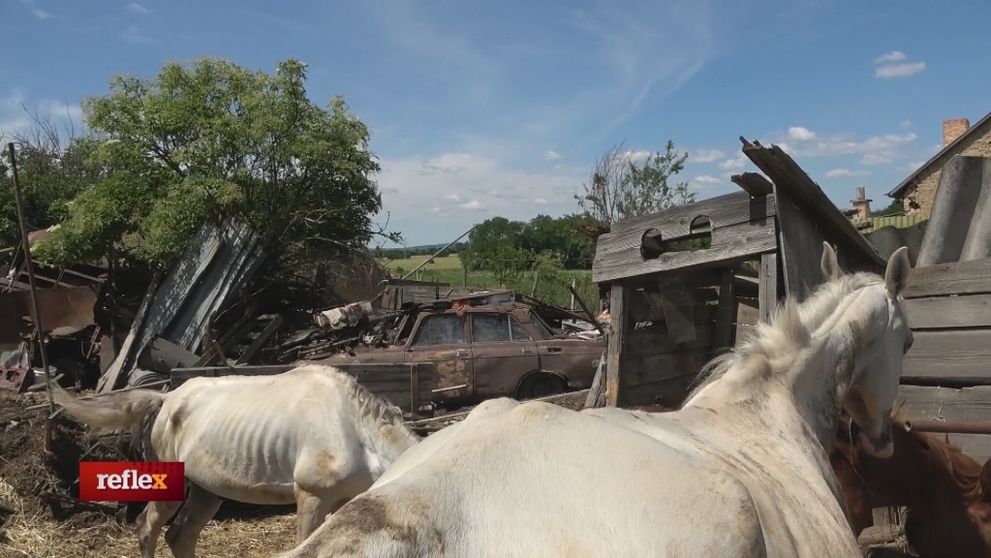 Farma hrôzy v Lučenci