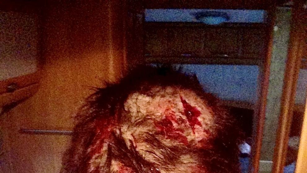 Slovenská speváčka skončila zohavená: Je na nepoznanie