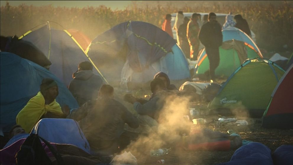 Utečenci: Téma, ktorá rezonuje všade
