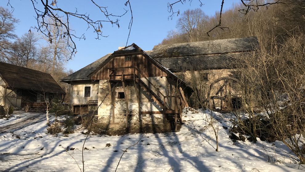 Šok, zdesenie či nemý úžas: Spomínate si na prvé chvíle na Farme?