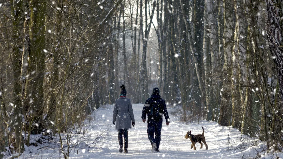 Sneží, fúka a je vonku zima? Ideálny čas na vašu zdravotnú prechádzku