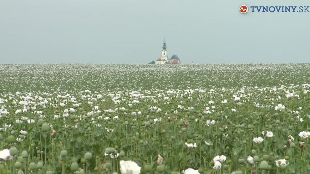 Defne z Kúska zo mňa: Rovnaký osud ako v seriáli?
