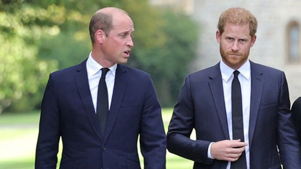 Obrovské sklamanie: Nové odhalenie vo vzťahu Harryho a Williama