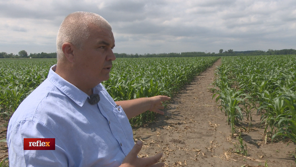 Prenajatá poľná cesta