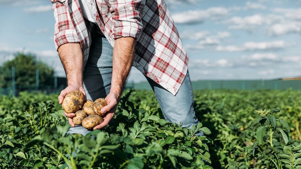 Regionálne poklady nájdete aj v Kauflande