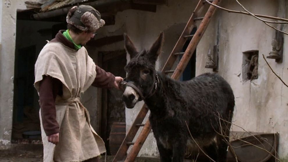 Miro kontra oslík: Kto z nich je tvrdohlavejší?