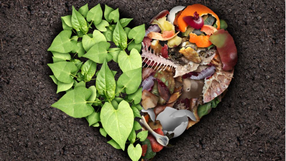 Čo všetko patrí a nepatrí do kompostéra