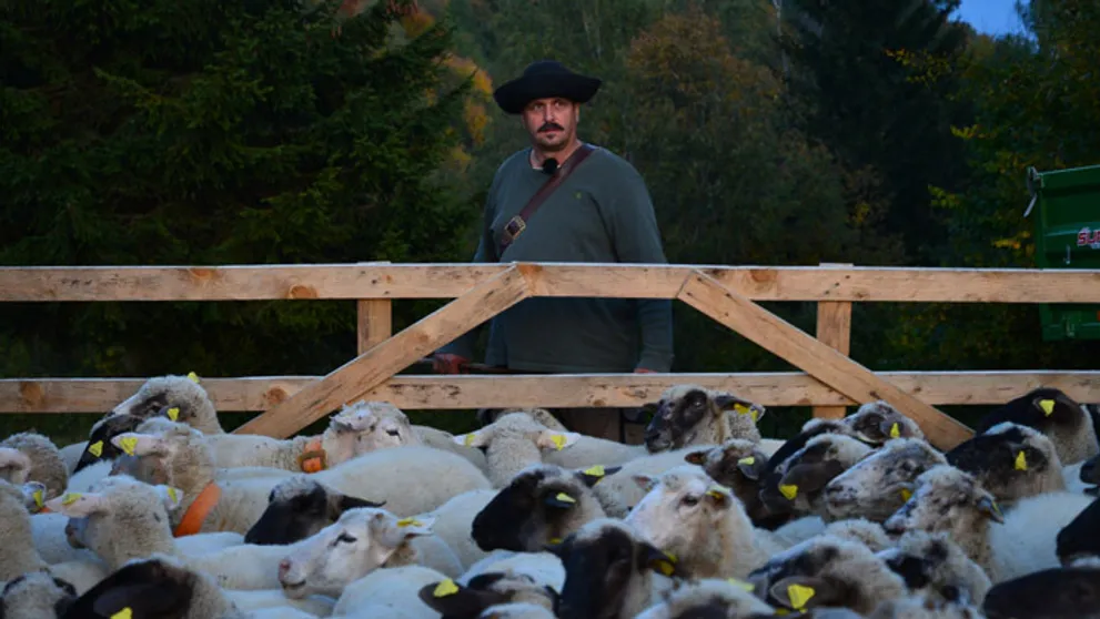Farmári majú poriadny 