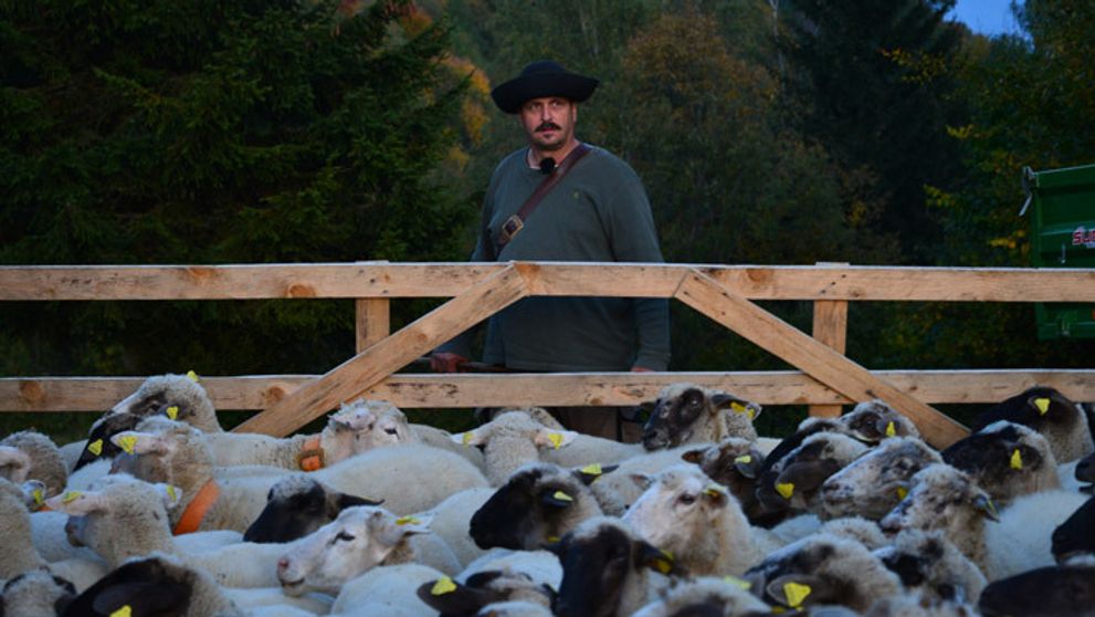 Farmári majú poriadny 