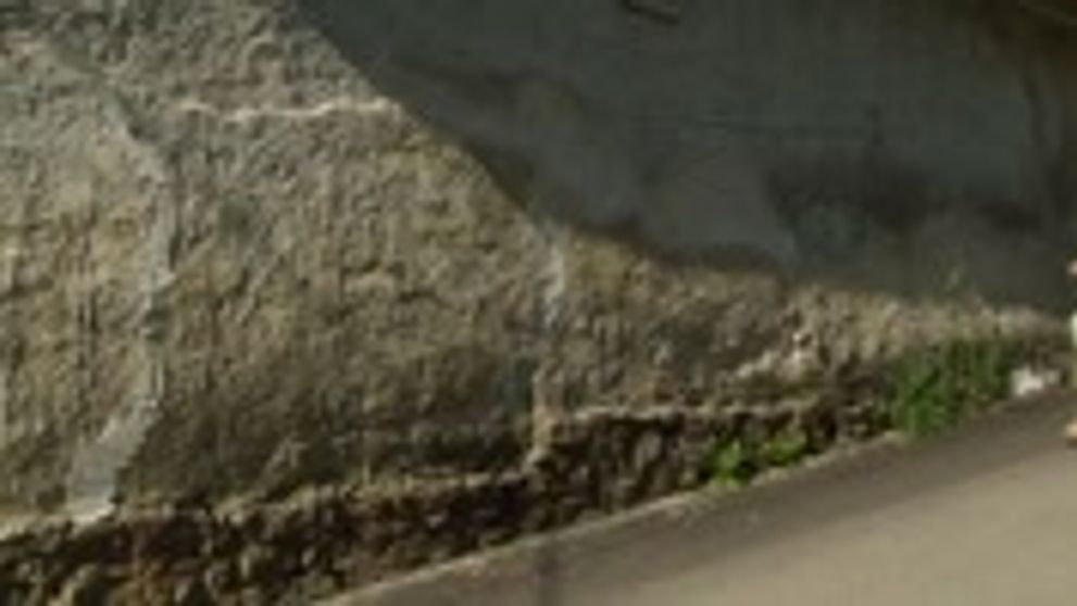 McGregorov návrat je hotovou vecou. Oznámili termín jeho prvého súboja