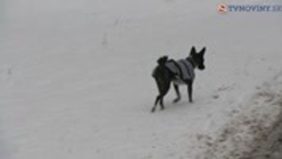 Štýlová aj v blate: Prečo nemá Kveta Horváthová rada veľké výstrihy?