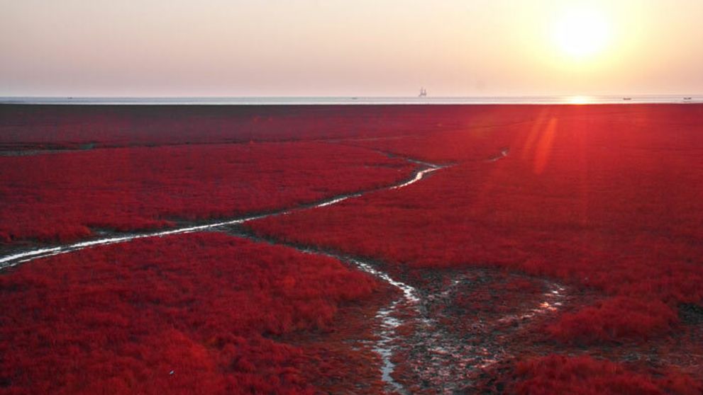 Jedinečná pláž v Číne: Jej sfarbenie vám vyrazí dych