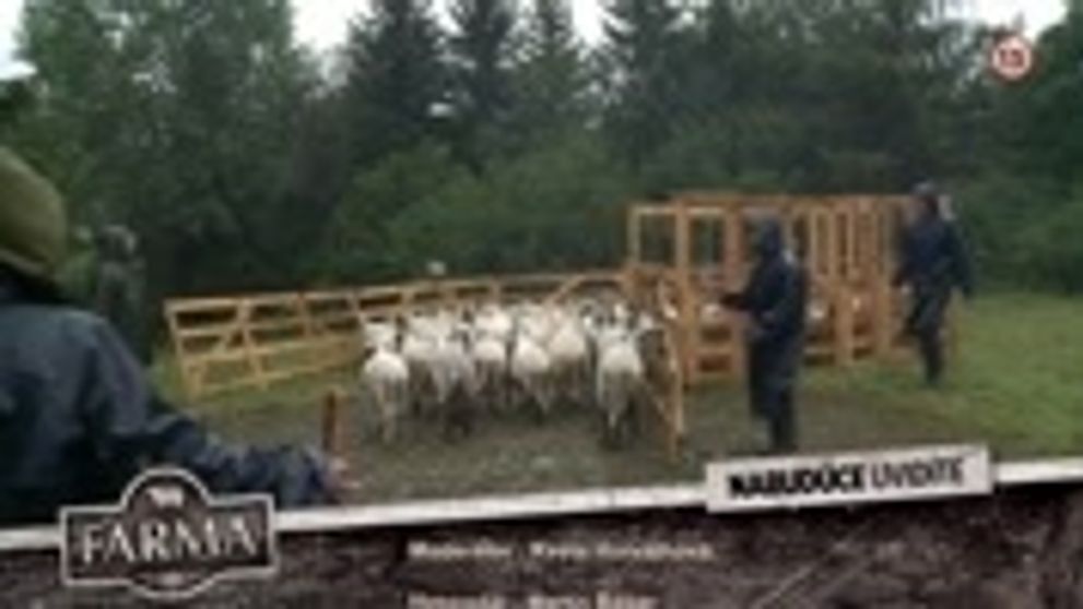 Country tanec v podaní Vlada Kobielskeho? To jednoducho musíte vidieť