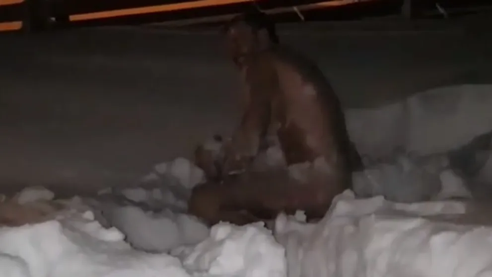 VIDEO: Martin Šmahel sa s tým nebabre. Holý skončil v snehu