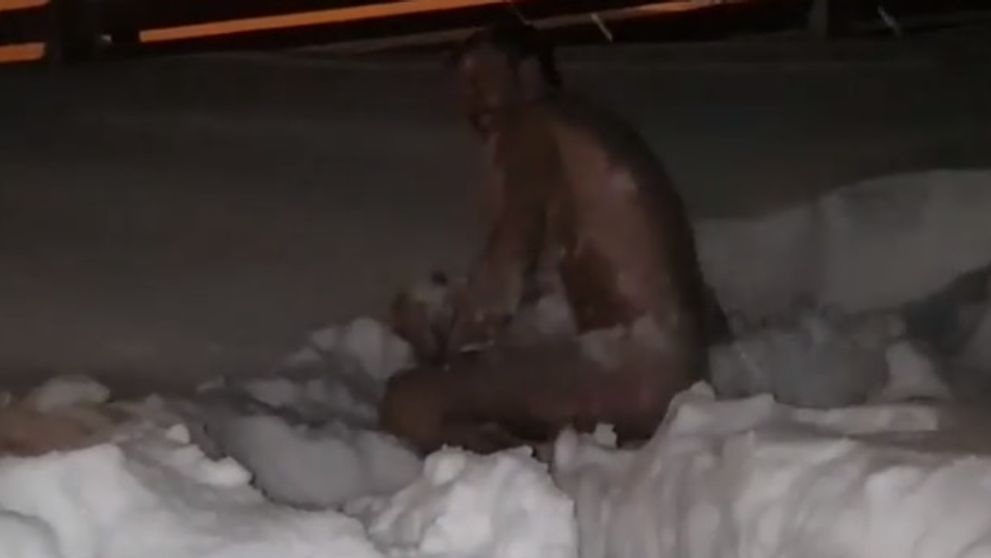 VIDEO: Martin Šmahel sa s tým nebabre. Holý skončil v snehu