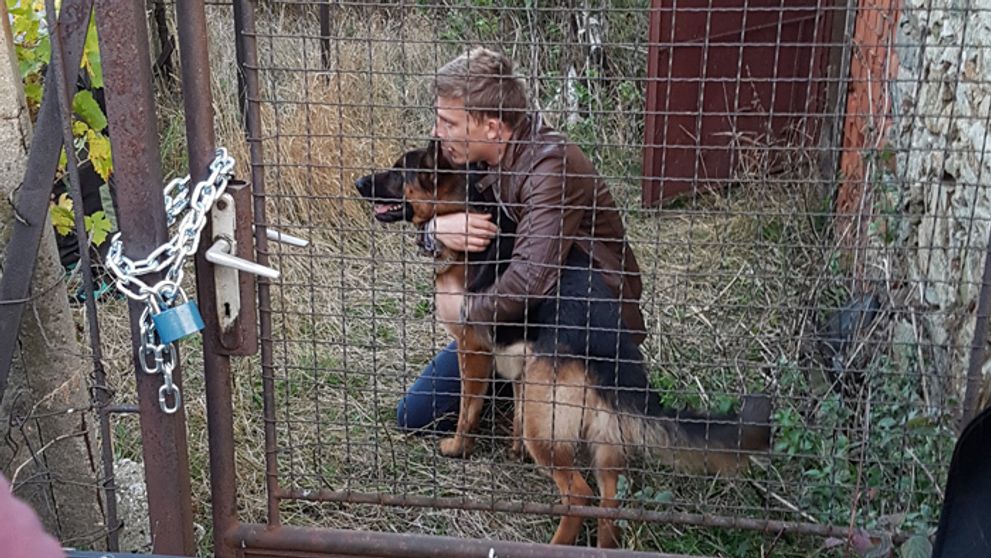 Bača prišiel o Rexa: Únos psa ho úplne rozhodil!