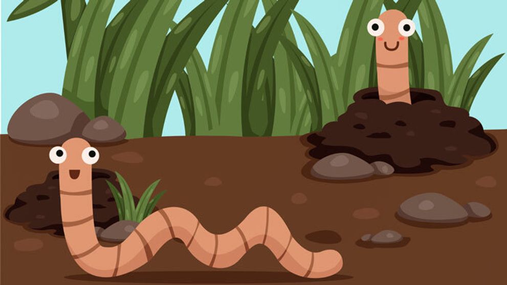 Dážďovky nás zbavia odpadu z kuchyne