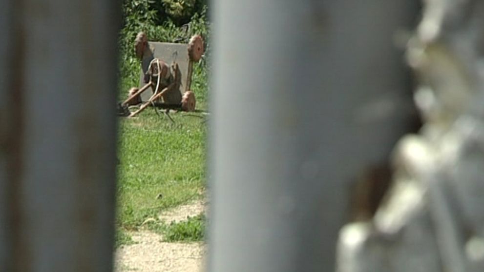 Žijú v dome bez toalety so 14 psami!