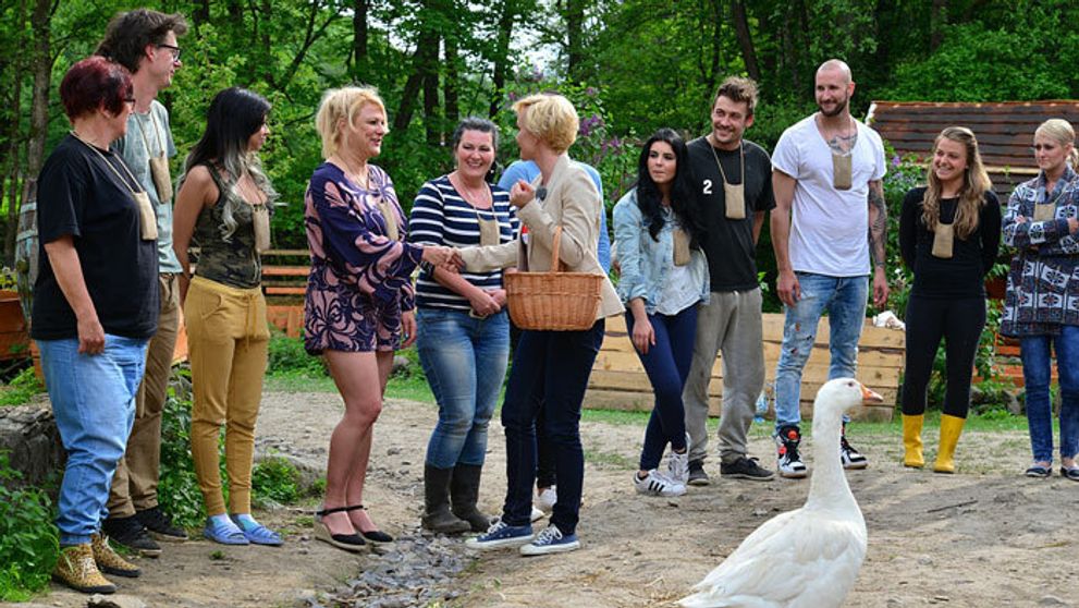 Chart Show a Farma s rekordnými trhovými podielmi!