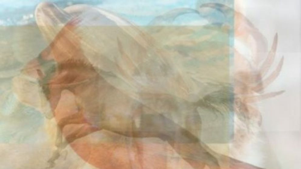 Rýchly test: Tento obrázok o vás povie veľmi veľa. Čo na ňom vidíte?