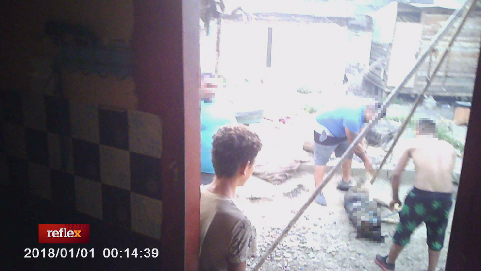 Psie zabíjačky - nehumánny biznis