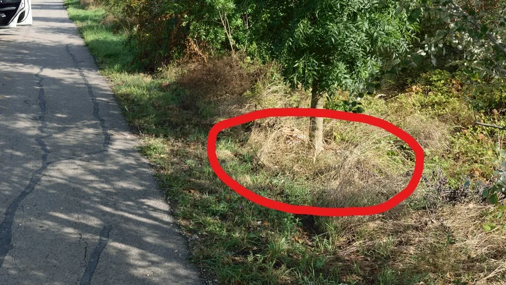 Nové komické duo na Farme: Chlapci majú našliapnuté k žiarivej kariére!