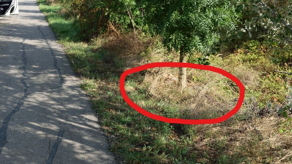 Nové komické duo na Farme: Chlapci majú našliapnuté k žiarivej kariére!