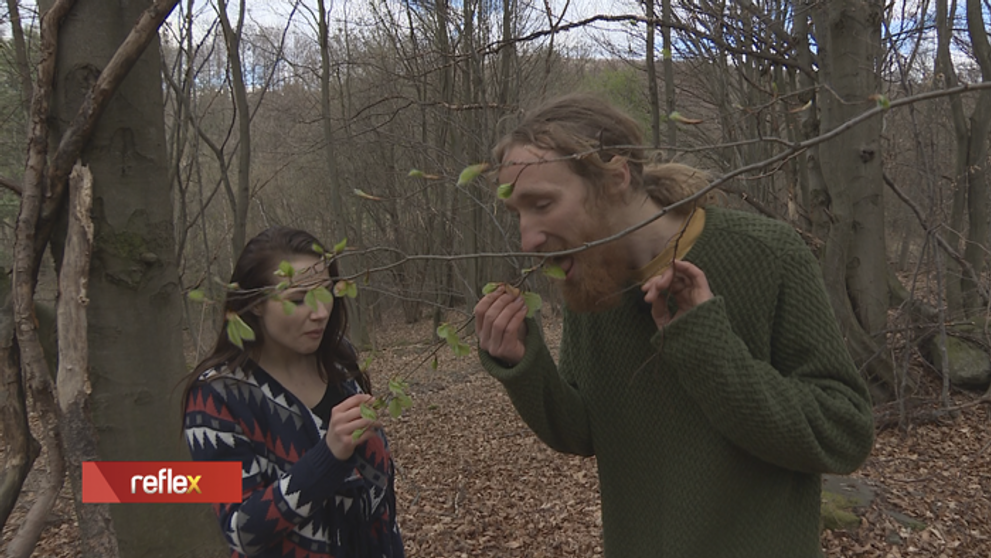 Pre niekoho burina, pre iného pochúťka